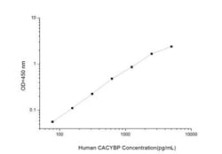 Novus Biologicals&trade;&nbsp;Human CACYBP ELISA Kit (Colorimetric)