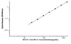 Novus Biologicals&nbsp;Human CALML5 ELISA Kit (Colorimetric)