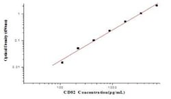 Novus Biologicals&nbsp;Human CD82/Kai-1 ELISA Kit (Colorimetric)