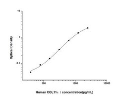 Novus Biologicals&trade;&nbsp;Human COL11A1 ELISA Kit (Colorimetric)