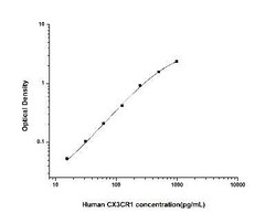 Novus Biologicals&trade;&nbsp;Human CX3CR1 ELISA Kit (Colorimetric)