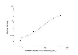 Novus Biologicals™ Human CXCR2/IL-8RB ELISA Kit (Colorimetric)