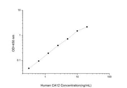 Novus Biologicals&trade;&nbsp;Human Carbonic Anhydrase XII/CA12 ELISA Kit (Colorimetric)