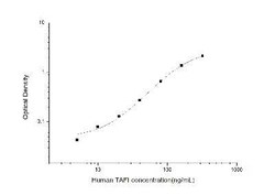 Novus Biologicals&trade;&nbsp;Human Carboxypeptidase B2/CPB2 ELISA Kit (Colorimetric)