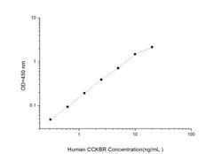 Novus Biologicals&trade;&nbsp;Human Cholecystokinin-B R/CCKBR ELISA Kit (Colorimetric)
