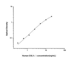 Novus Biologicals™ Human Collagen I alpha 1 ELISA Kit (Colorimetric)