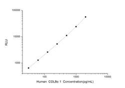 Novus Biologicals&trade;&nbsp;Human Collagen VIII alpha 1 ELISA Kit (Chemiluminescence)