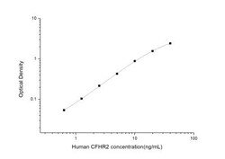 Novus Biologicals&trade;&nbsp;Human Complement Factor H-related 2/CFHR2/CFHL2 ELISA Kit (Colorimetric)