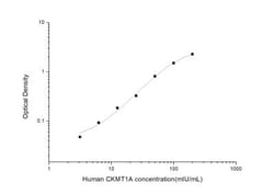 Novus Biologicals&trade;&nbsp;Human Creatine kinase MT 1A ELISA Kit (Colorimetric)