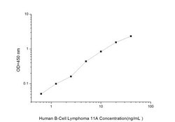 Novus Biologicals&trade;&nbsp;Human Ctip1 ELISA Kit (Colorimetric)