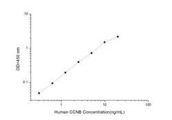 Novus Biologicals&trade;&nbsp;Human Cyclin B1 ELISA Kit (Colorimetric)