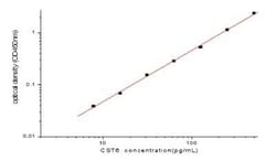 Novus Biologicals&nbsp;Human Cystatin E/M/CST6 ELISA Kit (Colorimetric)