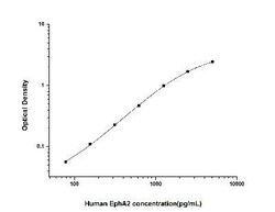 Novus Biologicals&trade;&nbsp;Human EphA2 ELISA Kit (Colorimetric)