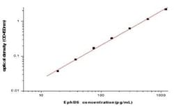 Novus Biologicals&nbsp;Human EphB6 ELISA Kit (Colorimetric)