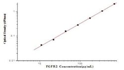 Novus Biologicals&nbsp;Human FGFR2 ELISA Kit (Colorimetric)