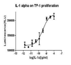 Novus Biologicals Recombinant Human IL-1 alpha/IL-1F1 Protein 1 mg | Buy Online | Novus Biologicals&trade; | Fisher Scientific