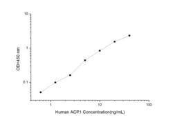 Novus Biologicals&trade;&nbsp;Human LMW-PTP/ACP1 ELISA Kit (Colorimetric)