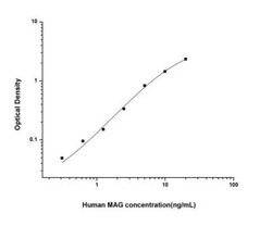 Novus Biologicals&trade;&nbsp;Human MAG/Siglec-4a ELISA Kit (Colorimetric)