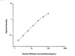 Novus Biologicals™ Human NAGase ELISA Kit (Colorimetric)