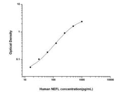 Novus Biologicals™ Human NF-L ELISA Kit (Colorimetric)