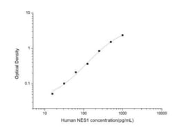 Novus Biologicals&trade;&nbsp;Human Nesfatin-1/Nucleobindin-2 ELISA Kit (Colorimetric)
