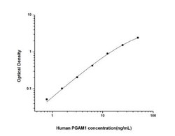 Novus Biologicals™ Human PGAM1 ELISA Kit (Colorimetric)