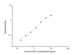 Novus Biologicals&trade;&nbsp;Human PON1 ELISA Kit (Colorimetric)