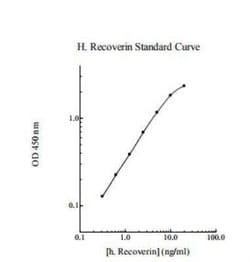 Novus Biologicals&trade;&nbsp;Human Recoverin ELISA Kit (Colorimetric)