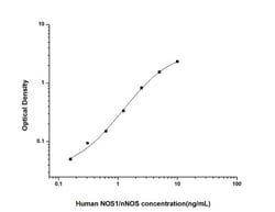 Novus Biologicals&trade;&nbsp;Human nNOS ELISA Kit (Colorimetric)