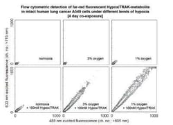 Novus Biologicals&trade;&nbsp;HypoxiTRAK(TM)