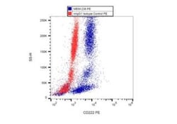 IGF-II R/IGF2R Antibody (MEM-238) - BSA Free, Novus Biologicals 0.1mg;