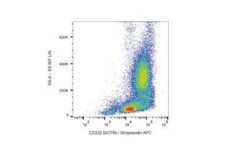 IGF-II R/IGF2R Antibody (MEM-238) - BSA Free, Novus Biologicals 0.1mg;