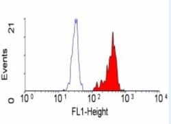 IGF-II R/IGF2R Antibody (MEM-238) - BSA Free, Novus Biologicals 0.1mg;