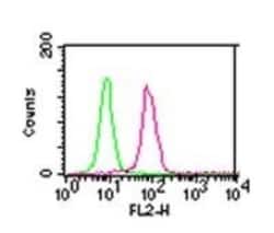 IKK alpha Antibody (14A231) - BSA Free, Novus Biologicals 0.025mg; Unlabeled:Antibodies,