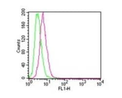 IKK beta Antibody (10A9B6) - BSA Free, Novus Biologicals 0.1mg; Unlabeled:Antibodies,