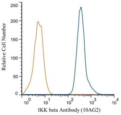 IKK beta Antibody (10AG2) - BSA Free, Novus Biologicals:Antibodies:Primary
