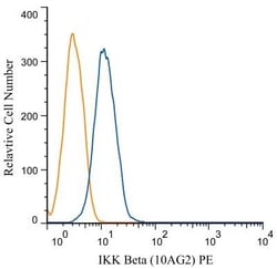 IKK beta Antibody (10AG2) - BSA Free, Novus Biologicals:Antibodies:Primary