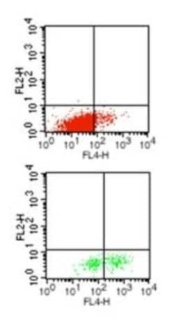 IL-1 beta/IL-1F2 Antibody (43N3D8) - BSA Free, Novus Biologicals 0.1mg;