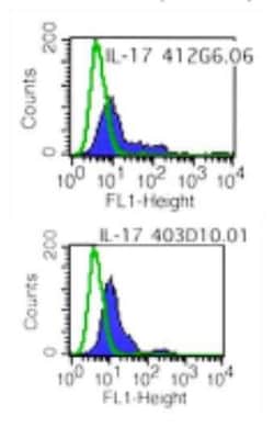 IL-17/IL-17A Antibody (408H6.01/mAb25), Novus Biologicals 0.1mg; Unlabeled:Antibodies,
