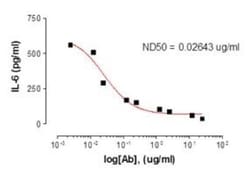 IL-17/IL-17A Antibody (4H1524), Novus Biologicals:Antibodies:Primary Antibodies