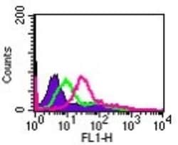 IL-24 Antibody, Novus Biologicals 0.1mg; Unlabeled:Antibodies, Polyclonal