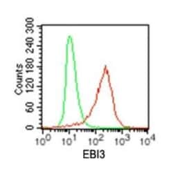 EBI3 Antibody (42N1G4), Novus Biologicals 0.1mg; Unlabeled:Antibodies,