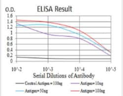IL-28A/IFN-lambda 2 Antibody (7B9A4) - BSA Free, Novus Biologicals 0.1mg;