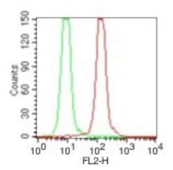 IL-33 Antibody (6H617) - BSA Free, Novus Biologicals 0.025 mg | Buy Online | Novus Biologicals | Fisher Scientific