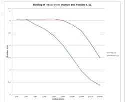 IL12B Antibody (I-1A4) - BSA Free, Novus Biologicals:Antibodies:Primary
