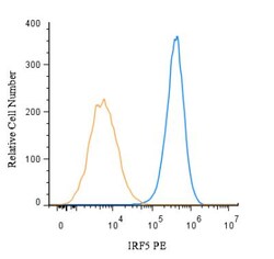 IRF5 Antibody (10T1) - BSA Free, Novus Biologicals:Antibodies:Primary Antibodies