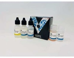 Novus Biologicals&trade;&nbsp;ImmPRESS(TM) HRP Horse anti-Rabbit IgG PLUS Polymer, Peroxidase Kit