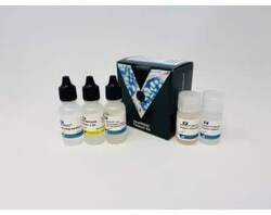 Novus Biologicals ImmPRESS(TM) HRP Universal (Horse anti-Mouse/Rabbit IgG) PLUS Polymer, Peroxidase Kit 1 Kit | Buy Online | Novus Biologicals&trade; | Fisher Scientific