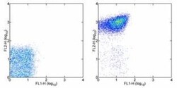 Integrin alpha 2b/CD41 Antibody (MWReg30) - BSA Free, Novus Biologicals