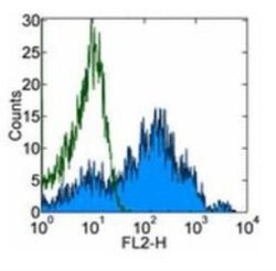 Integrin alpha 6/CD49f Antibody (GoH3) - BSA Free, Novus Biologicals 0.5mg;